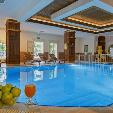 Club Paradiso & 5*